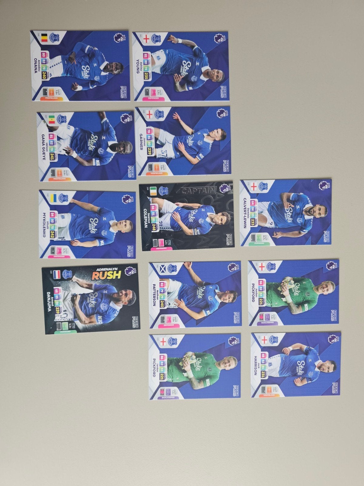 Panini Premier League Adrenalyn XL 2023/24 Everton kaarten, Ophalen, Zo goed als nieuw, Buitenlandse clubs, Spelerskaart