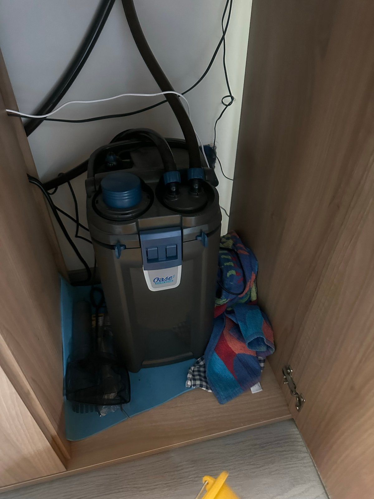Juwel Rio 450 + 2x oase biomaster + co2, Ophalen, Gebruikt, Inclusief vissen, Gevuld zoetwateraquarium