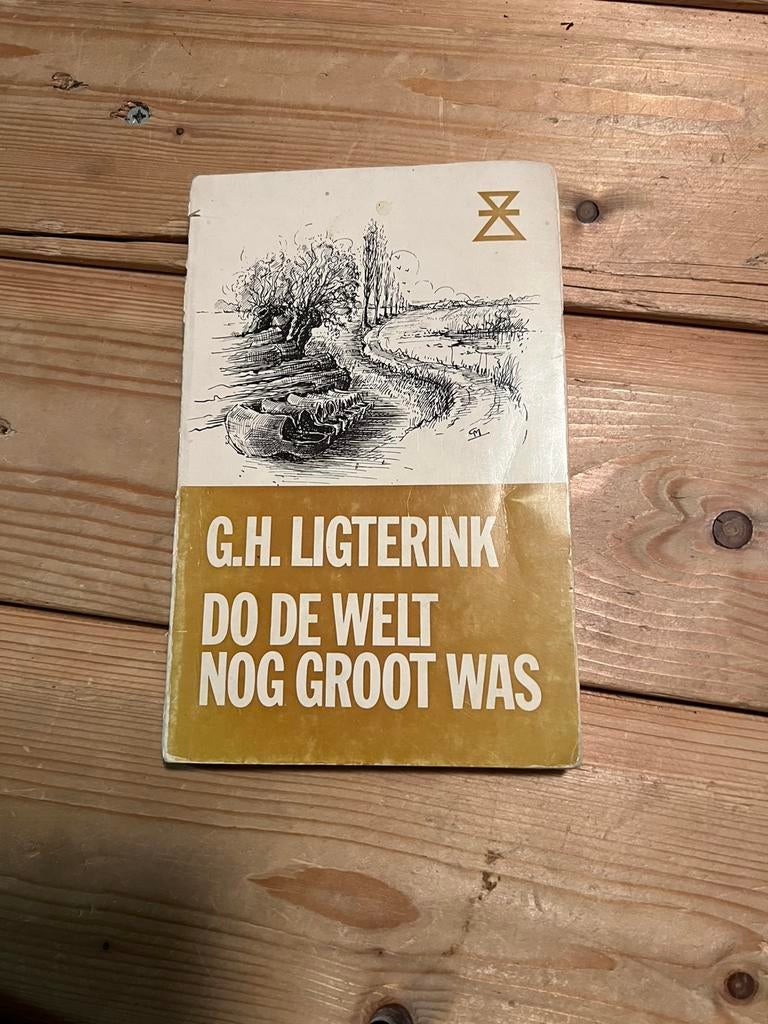 Do de welt nog groot was, Ophalen of Verzenden, Gelezen, Gelderland