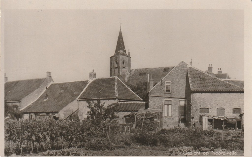 gezicht op Noordwelle, Verzamelen, Ophalen of Verzenden, 1940 tot 1960, Ongelopen, Zeeland
