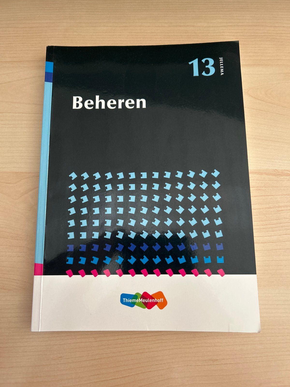 Jellema 13 Beheren, Ophalen of Verzenden, Beta, Zo goed als nieuw, HBO