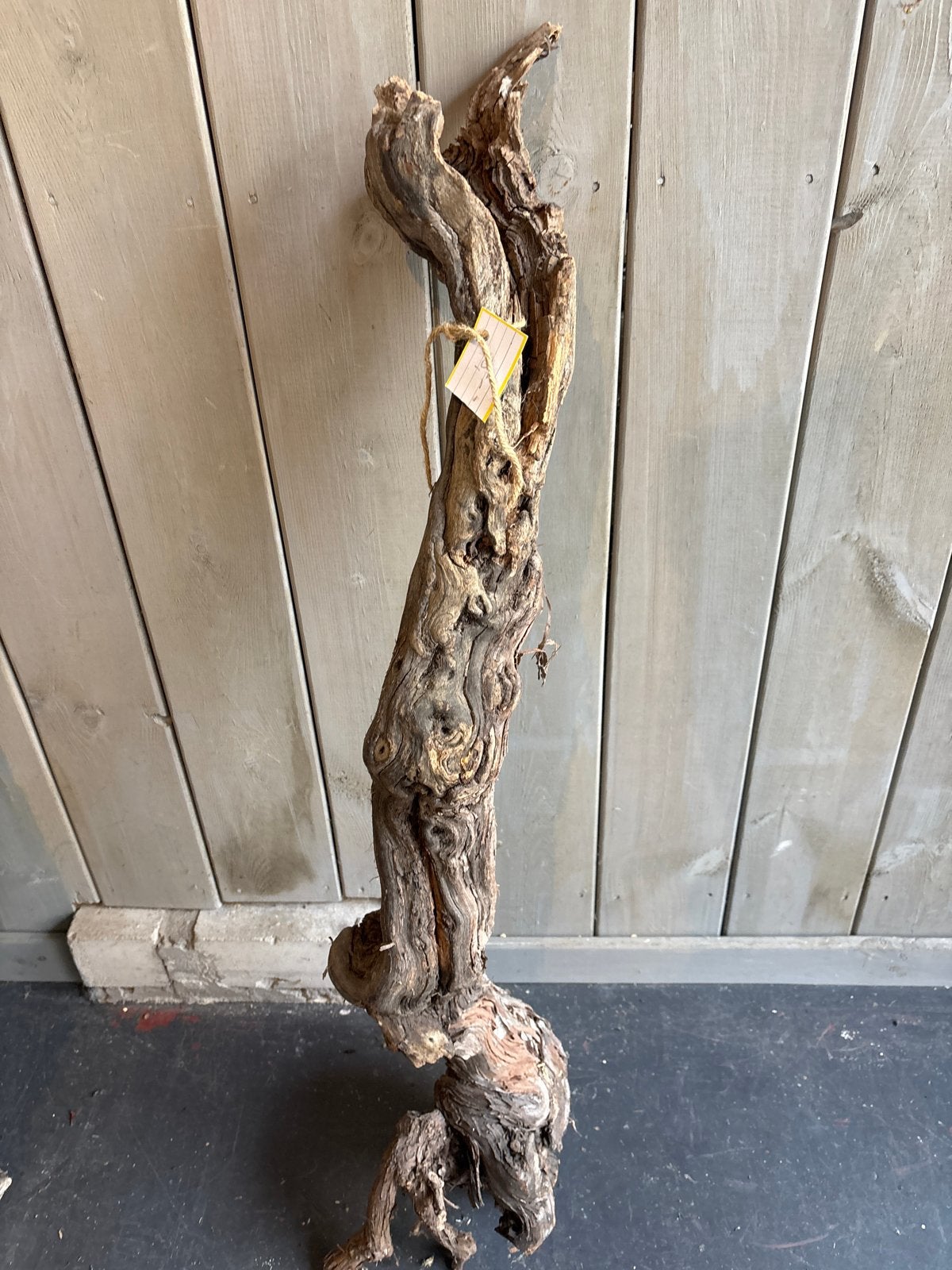 Decoratieve Wijnstok Wortel - Uniek Stuk, Hout, Gebruikt, Ophalen of Verzenden, Landelijk