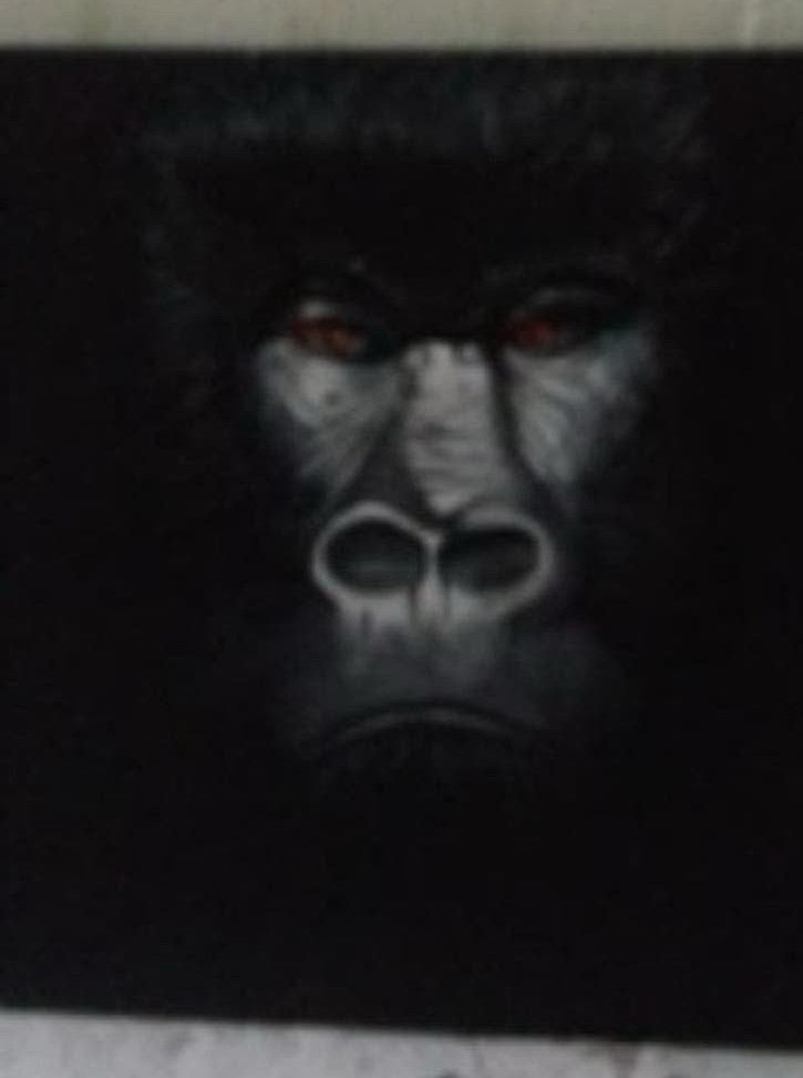 Gorilla, Ophalen of Verzenden