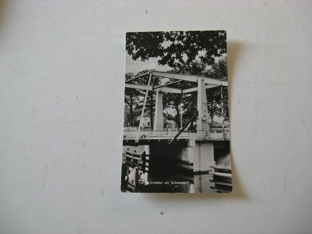 Groeten uit Schoonoord, Ophalen of Verzenden, Voor 1920, Ongelopen, Noord-Brabant