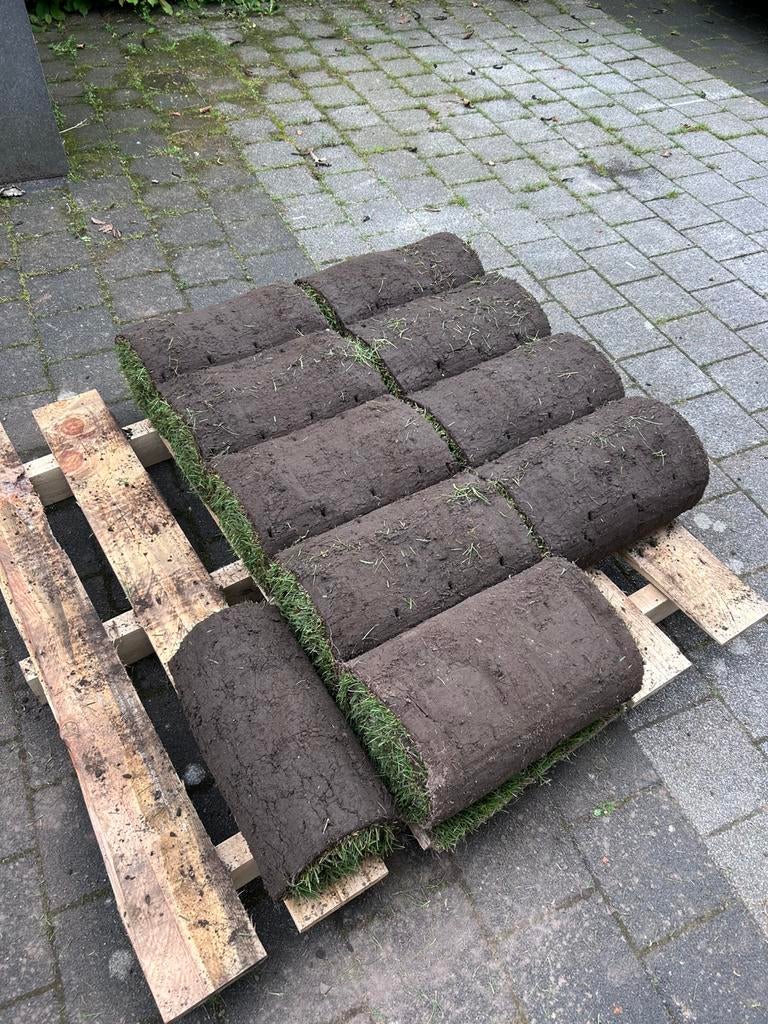 Graszoden 9,5 M2, Ophalen, Nieuw, Minder dan 10 m², Gras