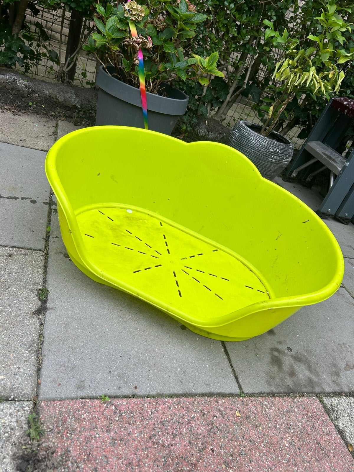 Plastic mand hond m, Dieren en Toebehoren, Ophalen of Verzenden, Zo goed als nieuw, Overige