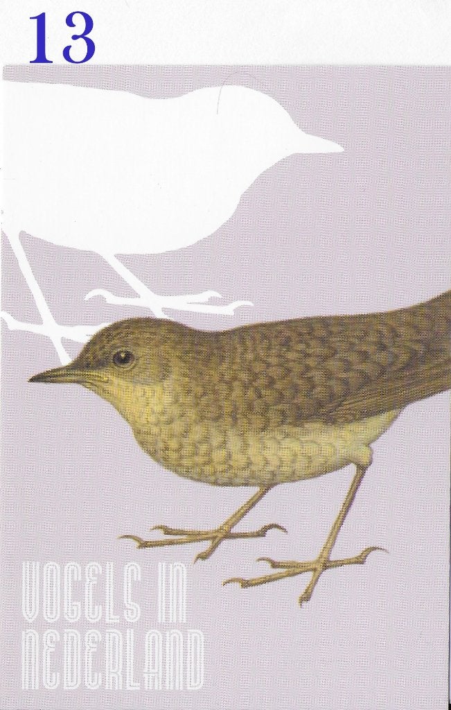 Ansichtkaart Vogels in Nederland Nachtegaal ( B3941), Ophalen of Verzenden, 1980 tot heden, Ongelopen