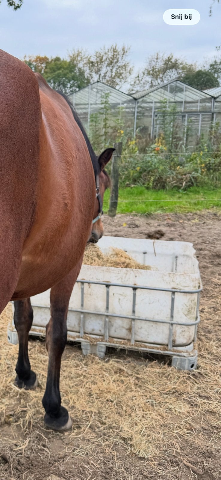 Hooibak/slowfeeder ibc vat verzwaard, Ophalen
