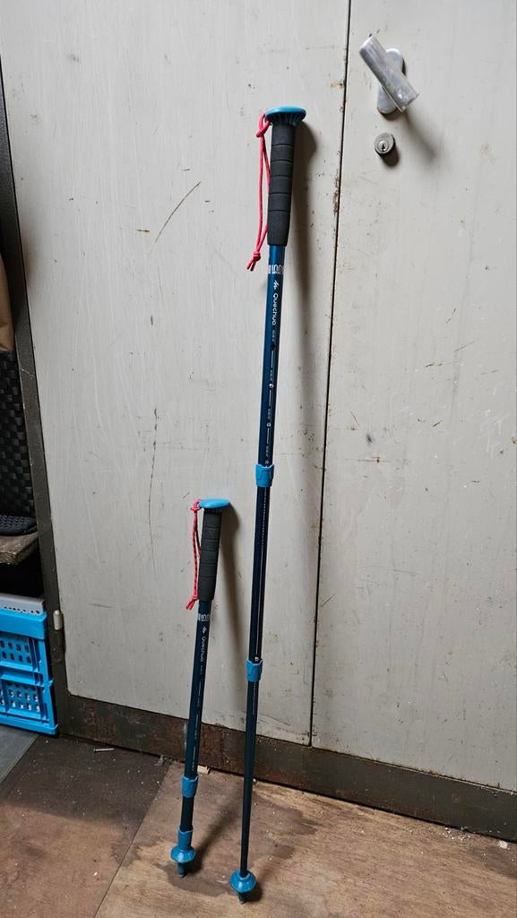 Wandelstokken nieuw, Ophalen of Verzenden, Nieuw, Overige typen
