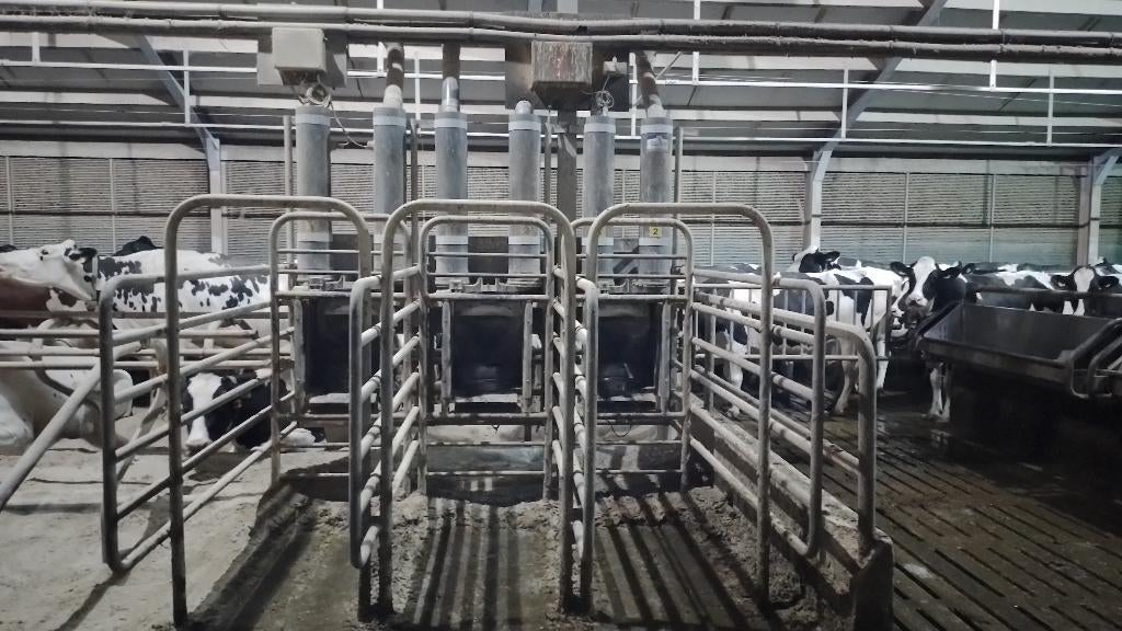 Krachtvoerboxen GEA (Nedap), Dieren en Toebehoren, Ophalen, Gebruikt