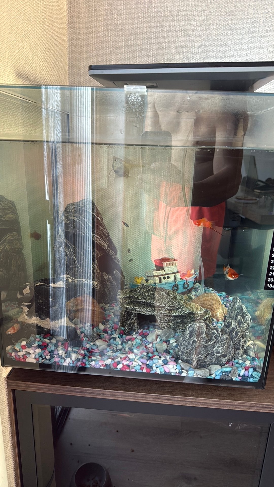 Aquarium 60l, Ophalen of Verzenden, Zo goed als nieuw, Leeg aquarium