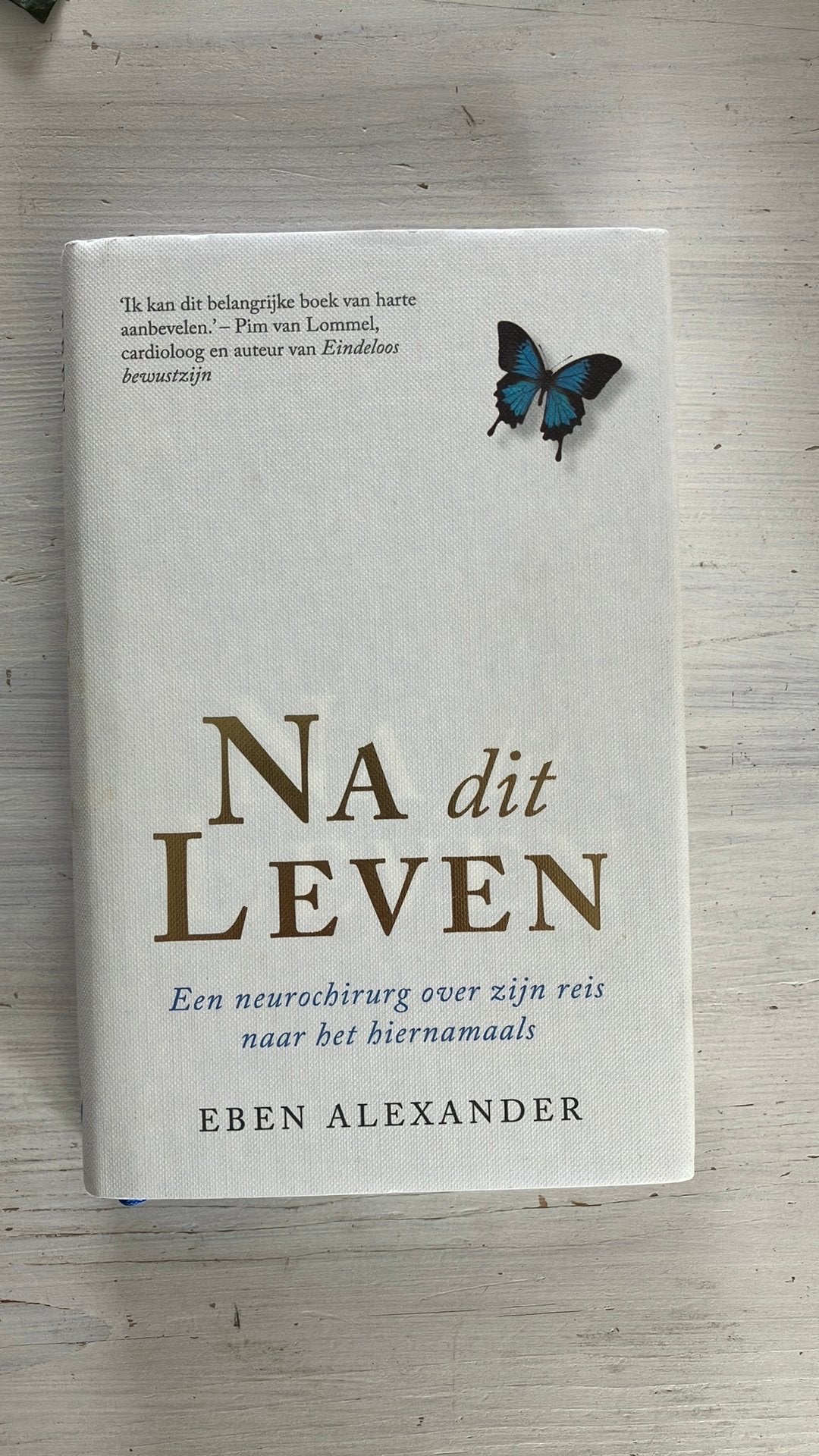 Eben Alexander - Na dit leven, Achtergrond en Informatie, Ophalen of Verzenden, Zo goed als nieuw, Eben Alexander