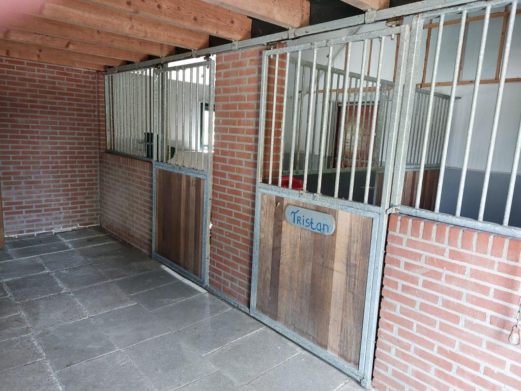Paardenstalling met ruime weidegang in Tijnje, Weidegang, 2 of 3 paarden of pony's
