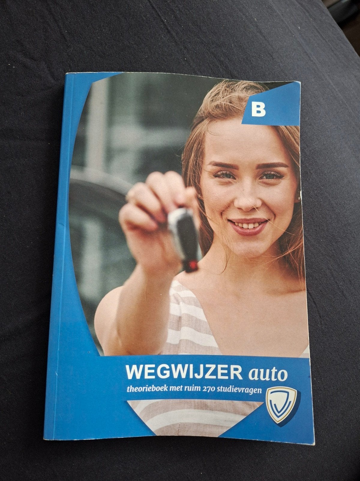 Wegwijzer Auto theorieboek met ruim 270 studievragen, Ophalen of Verzenden, Gelezen