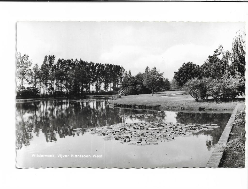Wildervank. Vijver Plantsoen. West, Ophalen of Verzenden, 1960 tot 1980, Ongelopen, Groningen
