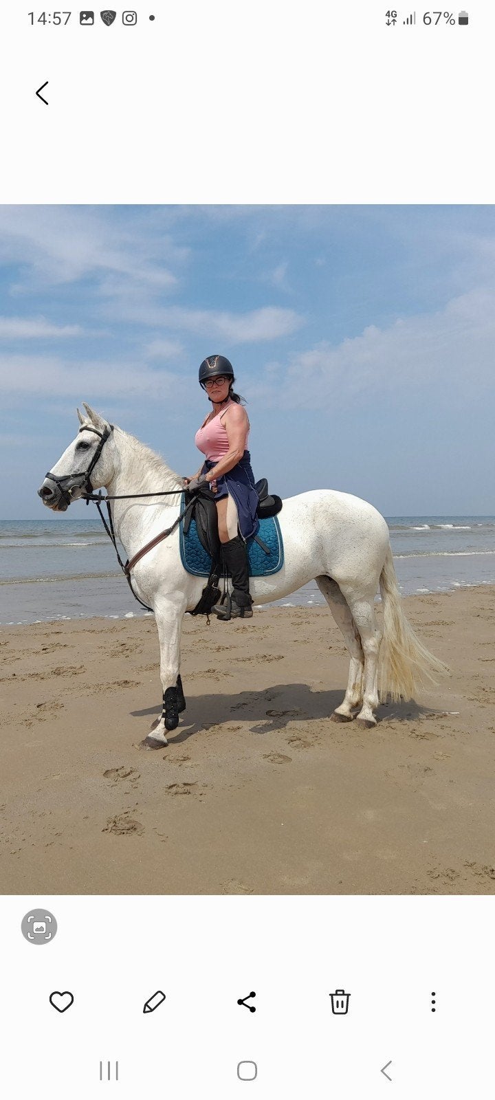 bijrijder E pony gezocht, Merrie, Minder dan 160 cm, Recreatiepaard, 11 jaar of ouder