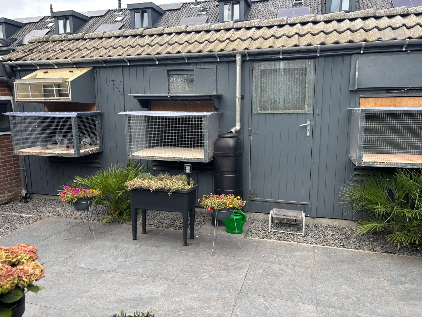 3  rennen voor postduiven om voor het hok te plaatsen, Ophalen, Gebruikt