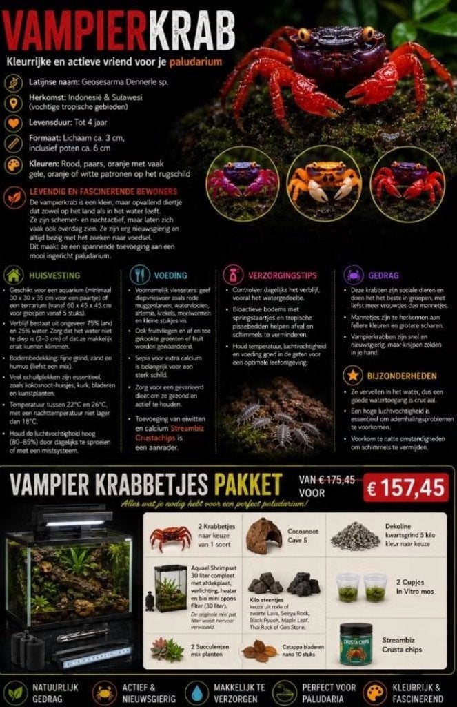Prachtige Red Devil, Violet Vampire  en Rainbow krabbetjes, Kreeft, Krab of Garnaal, Zoetwatervis