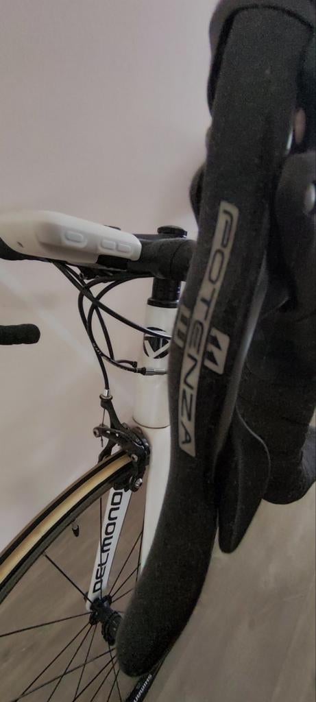 Ridley R10, Fietsen en Brommers, Carbon, Meer dan 20 versnellingen, 53 tot 57 cm, Ophalen