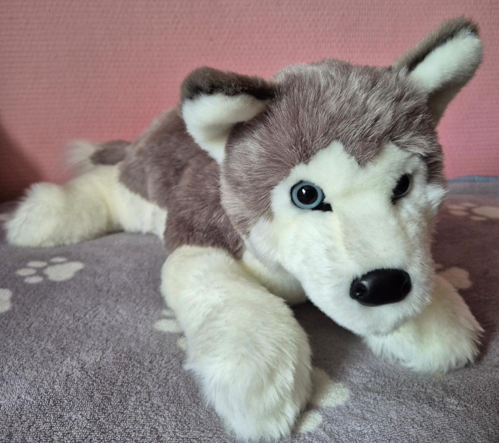 Douglas cuddle toys geno Dlux husky knuffel ESSA, Overige merken, Overige karakters, Grijs, Nieuw