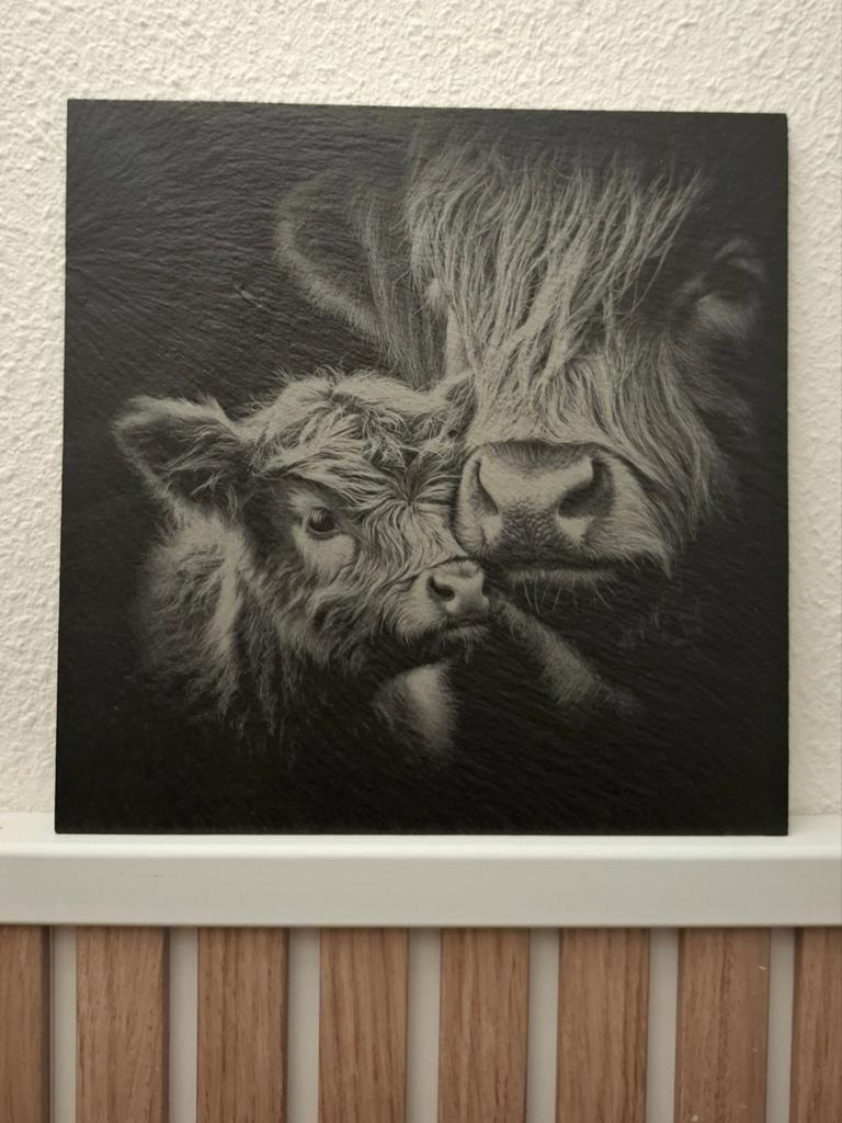 Schotse Hooglanders leisteen 25x25 cm plateau, Huis en Inrichting, Woonaccessoires | Dienbladen, Ophalen of Verzenden, Nieuw, Vierkant