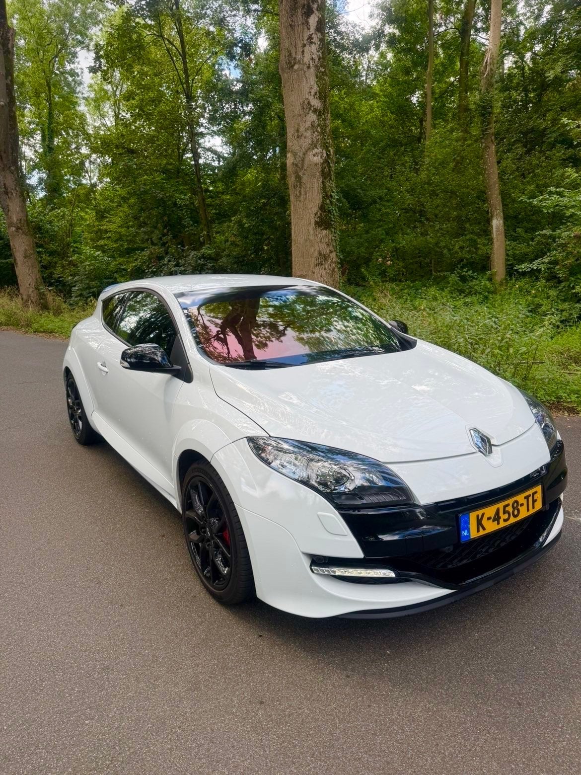 Foto 3 van Renault Mégane 3 RS 2.0 16V Turbo Coupe STAGE 2
