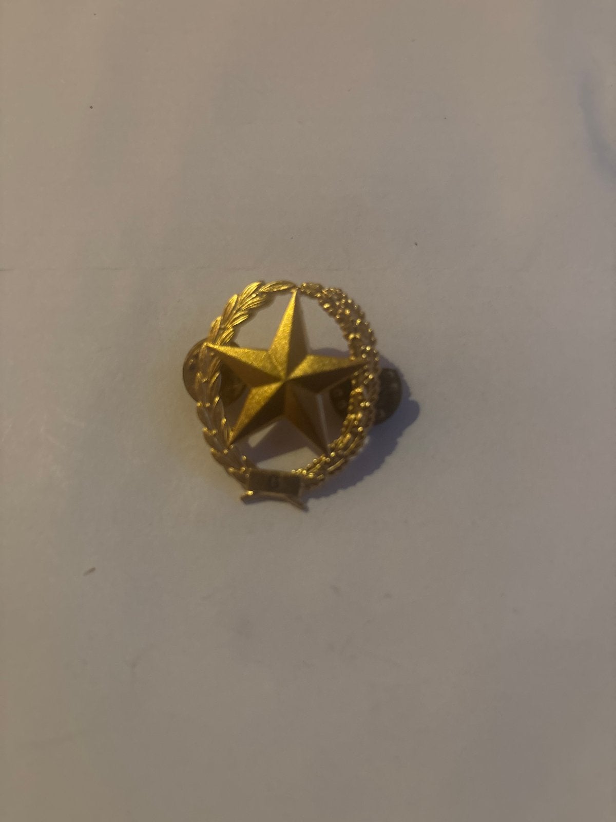 Schuttersembleem pistool - Gouden ster met lauwerkrans, Ophalen of Verzenden, Landmacht, Overige gebieden, Embleem of Badge