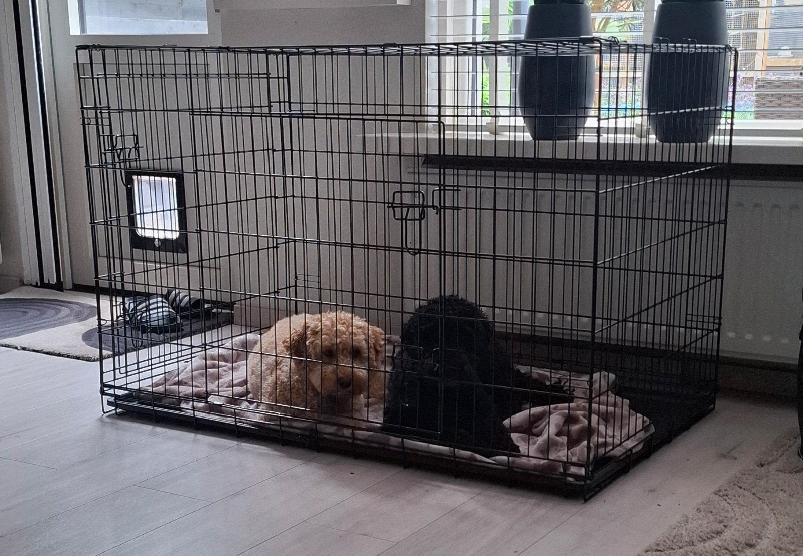 Grote honden bench L 122 x B 75 x H 81, Ophalen, Zo goed als nieuw