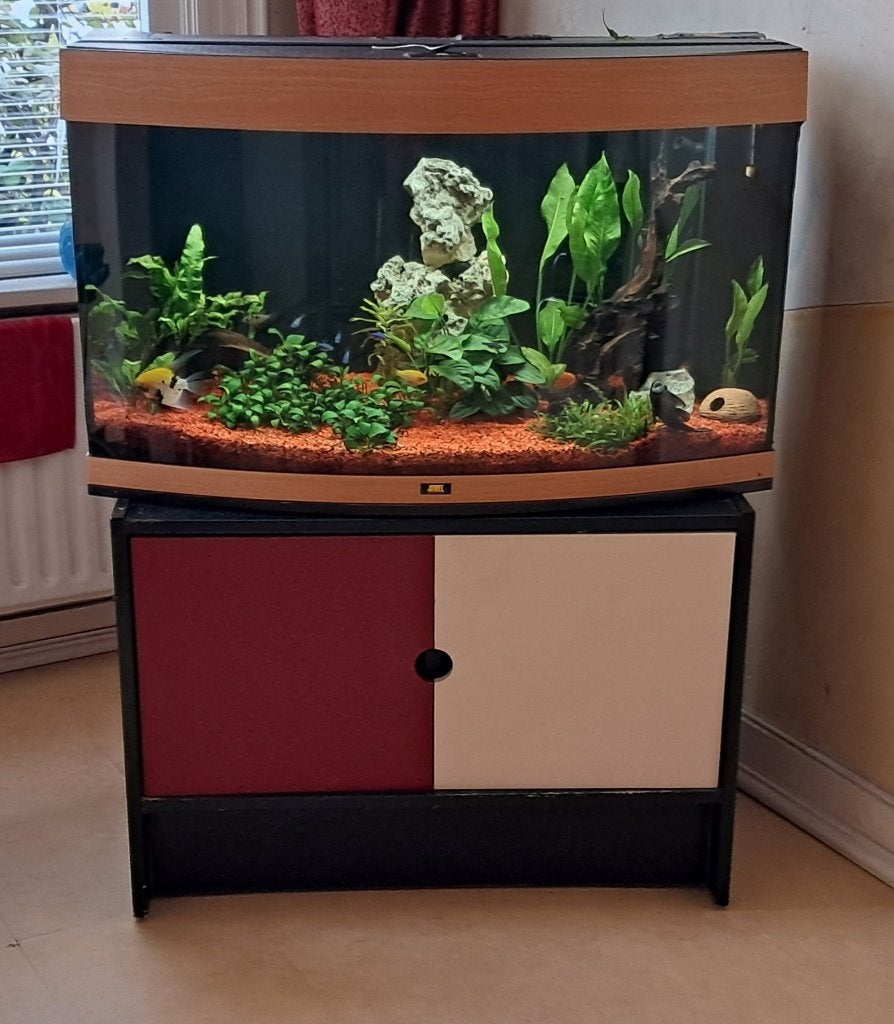 Juwel aquarium, Gebruikt, Ophalen of Verzenden, Gevuld zoetwateraquarium, Inclusief vissen
