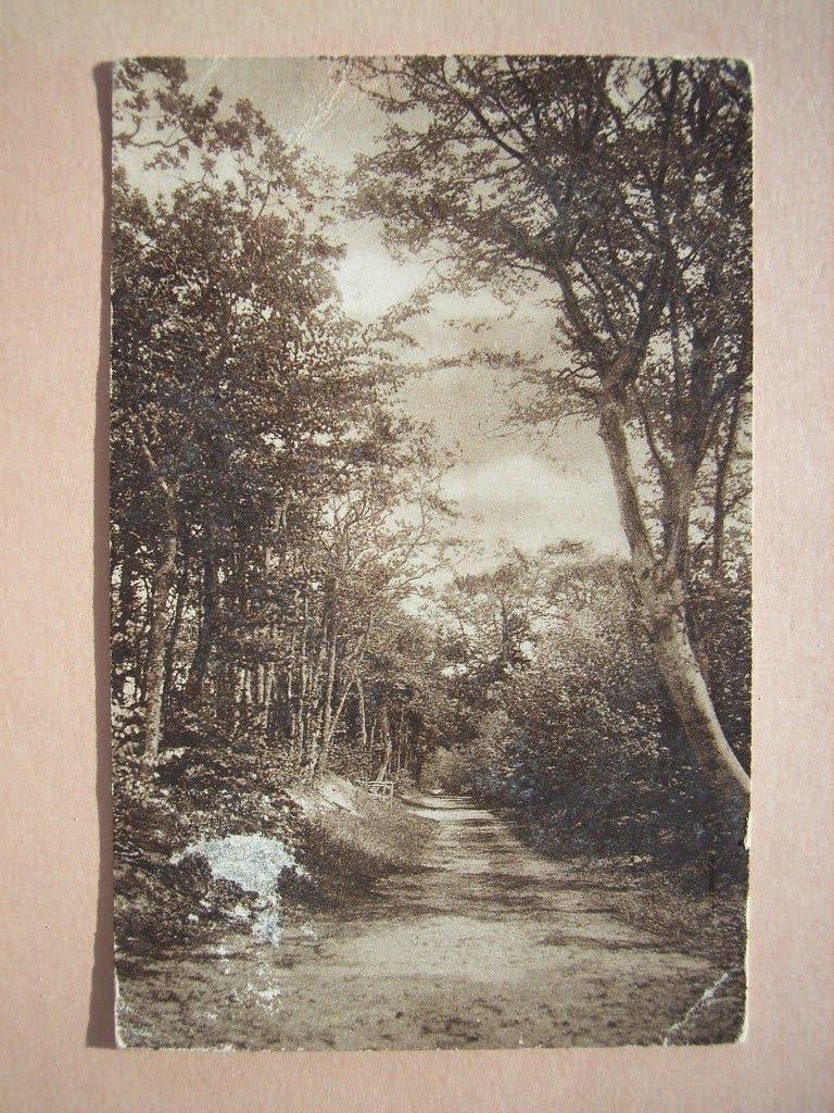 Ansichtkaart De Boschen Bergen NH, Verzamelen, Ophalen of Verzenden, 1960 tot 1980, Gelopen, Noord-Holland
