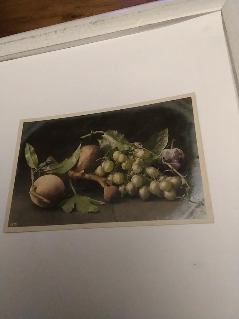 STILLEVEN  MET DRUIVEN / THOMAS B. ZIZALA, Antiek en Kunst, Kunst | Schilderijen | Klassiek, Ophalen of Verzenden