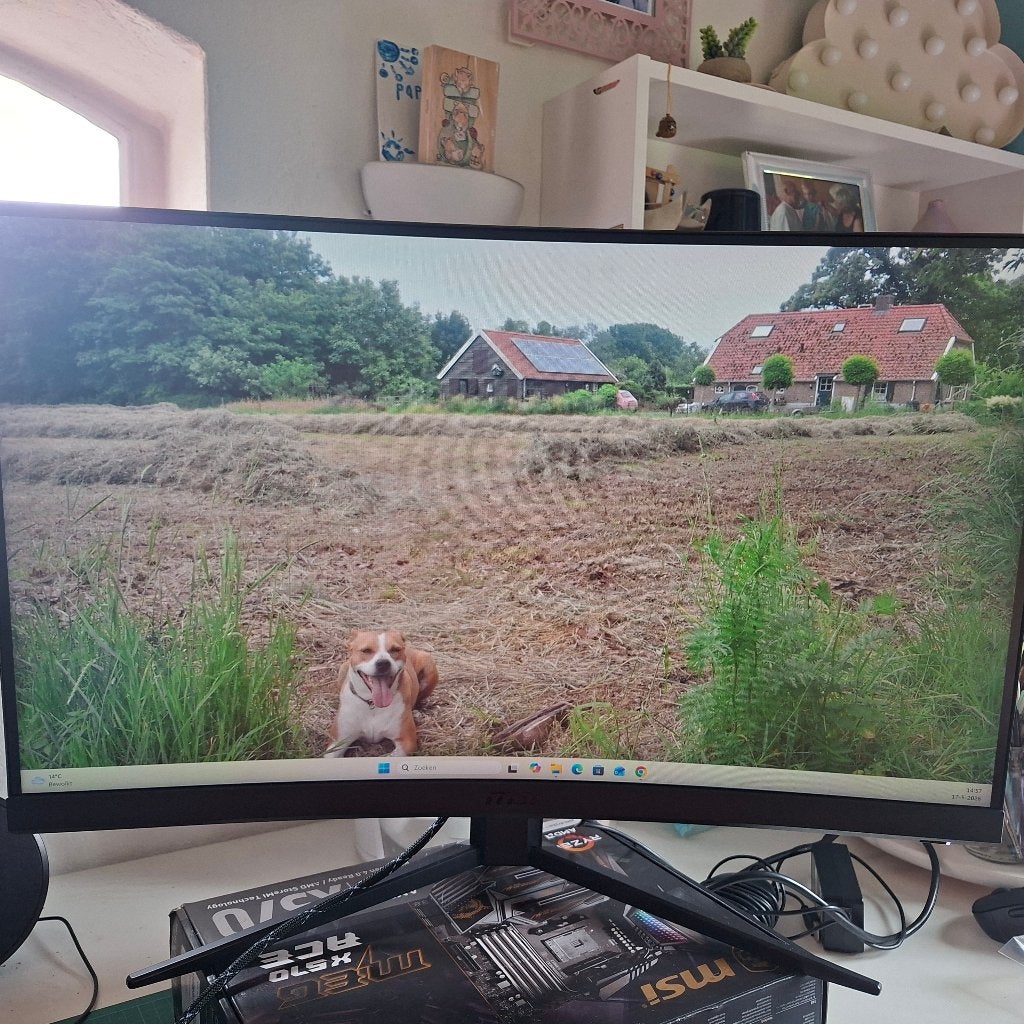 Gaming Monitor,  1080P,  250hz, Gaming, MSI, VA, Full HD