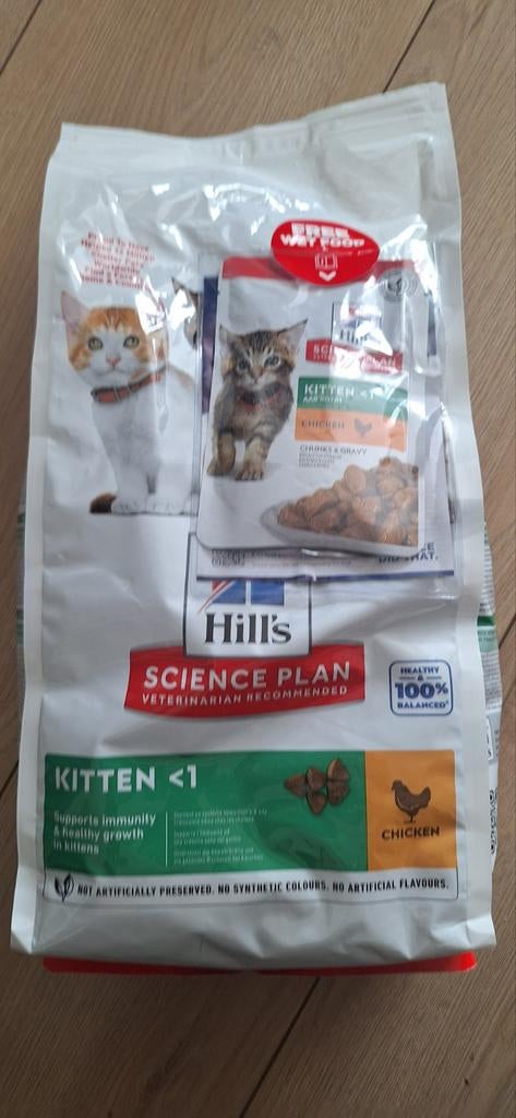 Kitten brokken, Ophalen of Verzenden, Kat
