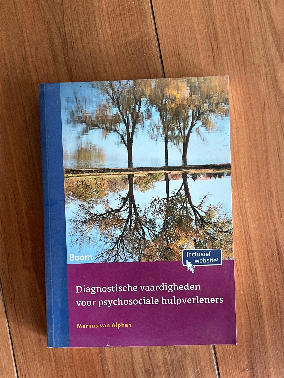 Diagnostische vaardigheden voor psychosociale hulpverleners, Boeken, Ophalen of Verzenden, Gamma, Zo goed als nieuw, HBO