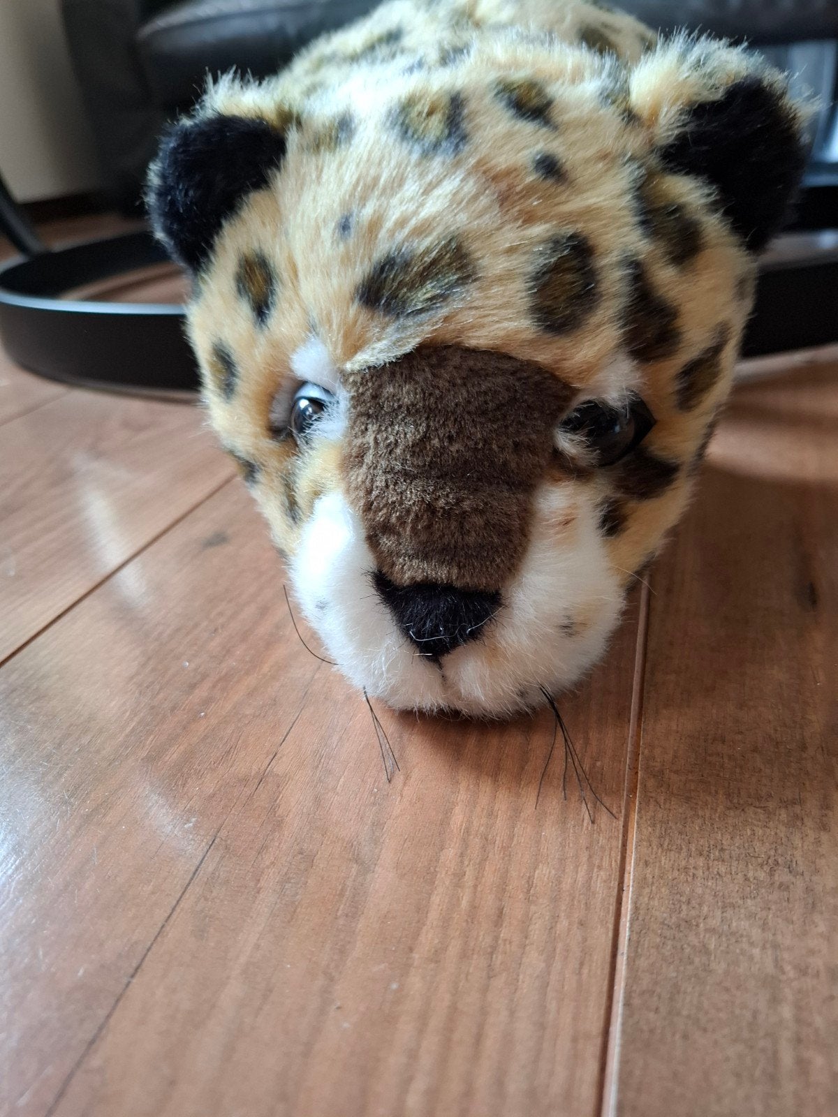Unieke set van 3 pluche dierenkoppen voor aan de muur (Russ, Ophalen, Knuffels