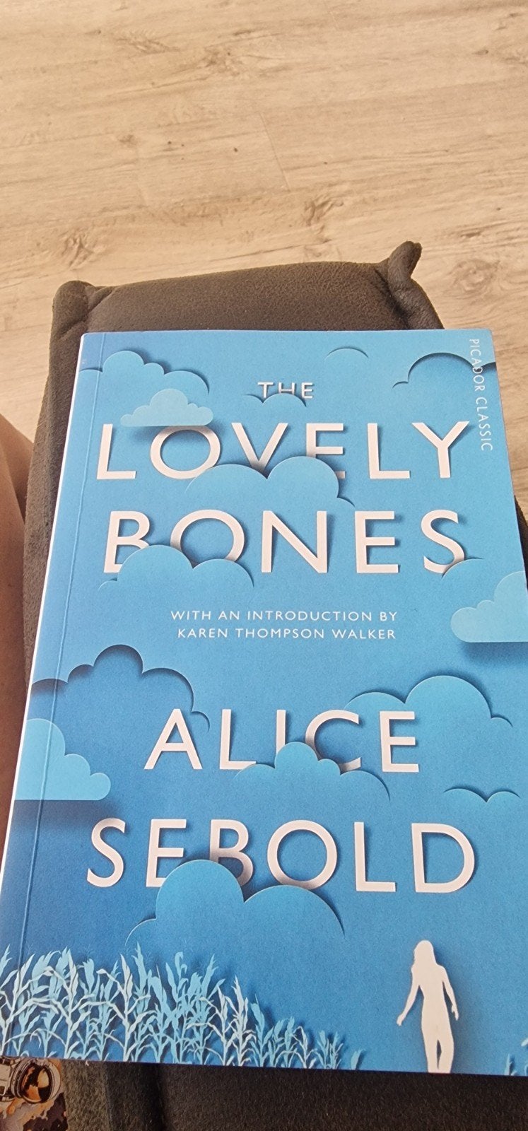 The Lovely Bones - Alice Sebold (Engels), Boeken, Ophalen of Verzenden, Zo goed als nieuw, Alice Sebold, Europa overig