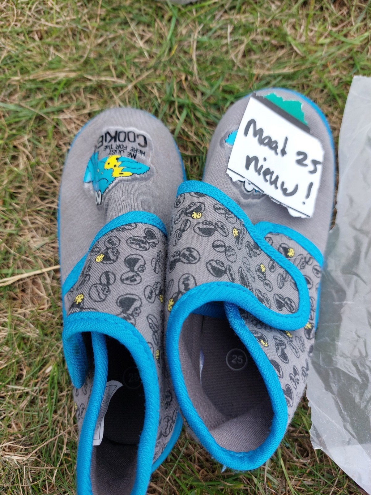 nieuwe cookie monster maat 25 pantoffels, Ophalen of Verzenden, Nieuw, Jongen of Meisje, Overige typen