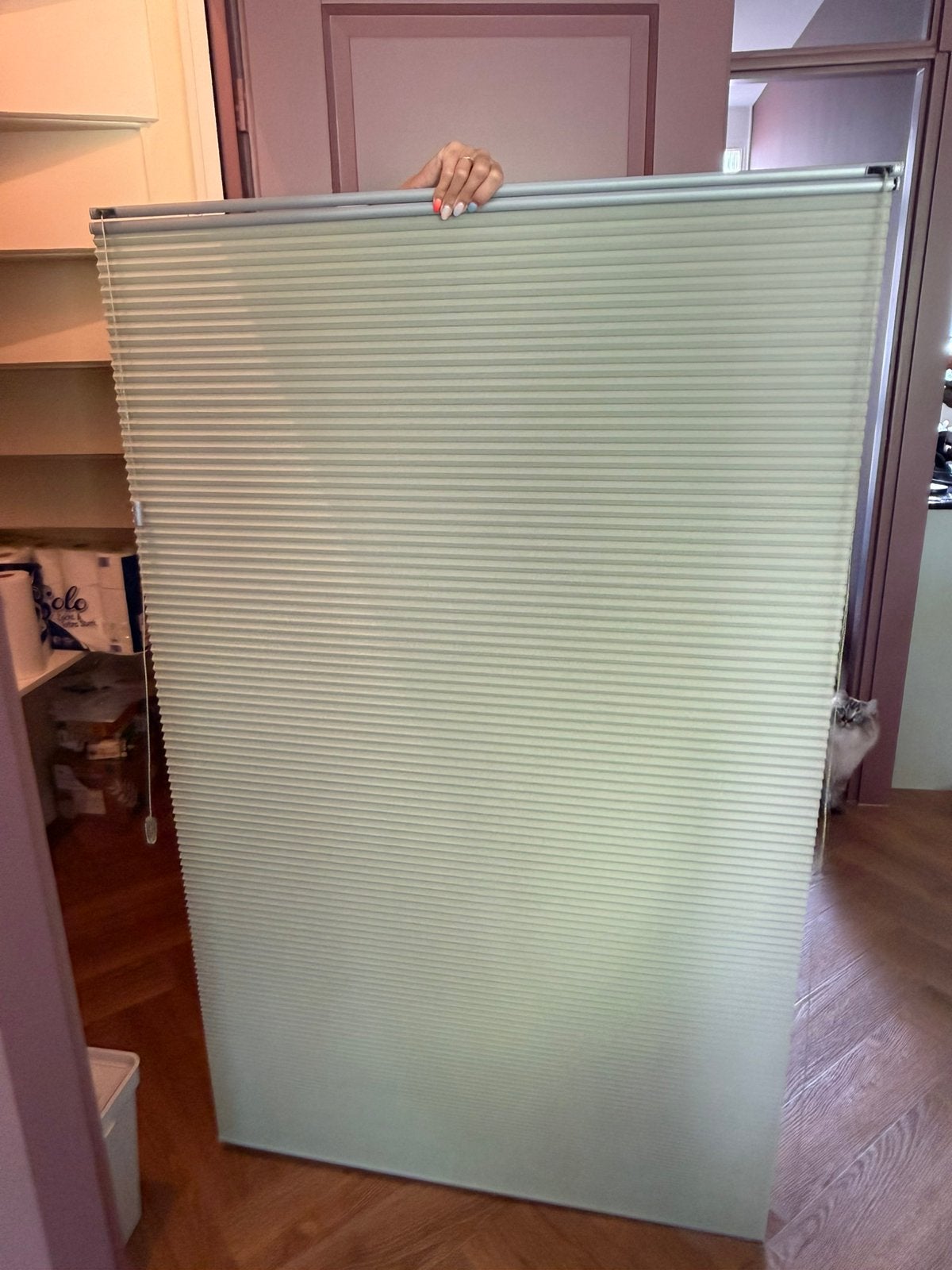 Plissé gordijn, Huis en Inrichting, Stoffering | Gordijnen en Lamellen, Ophalen of Verzenden, Plisségordijn, 97 cm, Groen