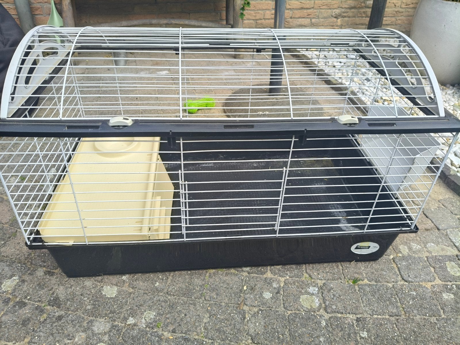 Cavia/konijnenkooi, Kooi, 75 tot 110 cm, Cavia, Ophalen