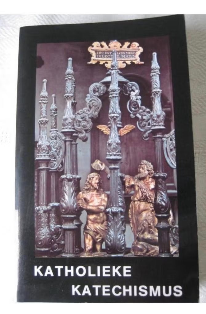Boek Katholieke Katechismus, Ophalen of Verzenden, Nieuw
