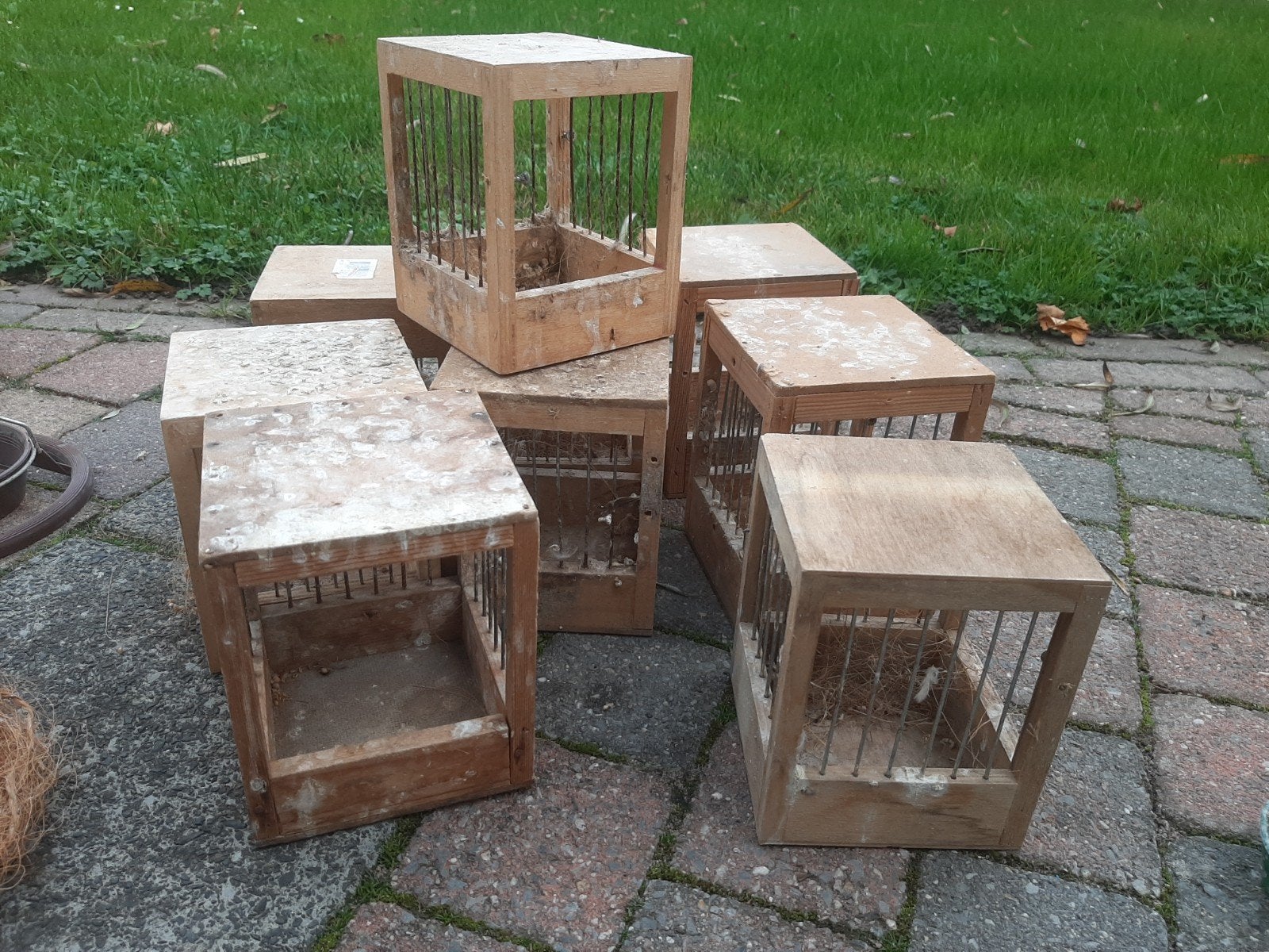 Vogel nestkastjes, Ophalen of Verzenden