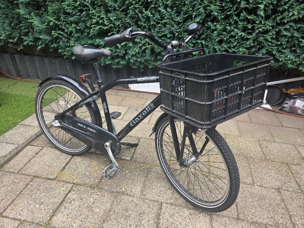 Fiets Gazelle jonge 24 inch, Ophalen, Terugtraprem, Versnellingen, Gazelle