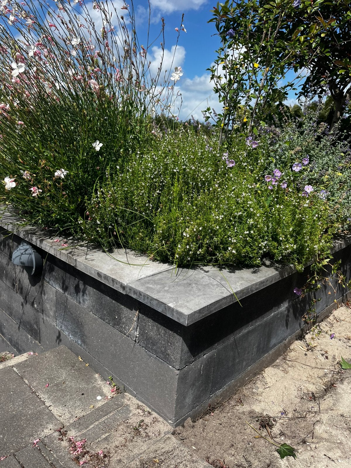 Gratis betonblokken voor bv border, Ophalen, Zo goed als nieuw, Minder dan 100 cm, Minder dan 25 cm