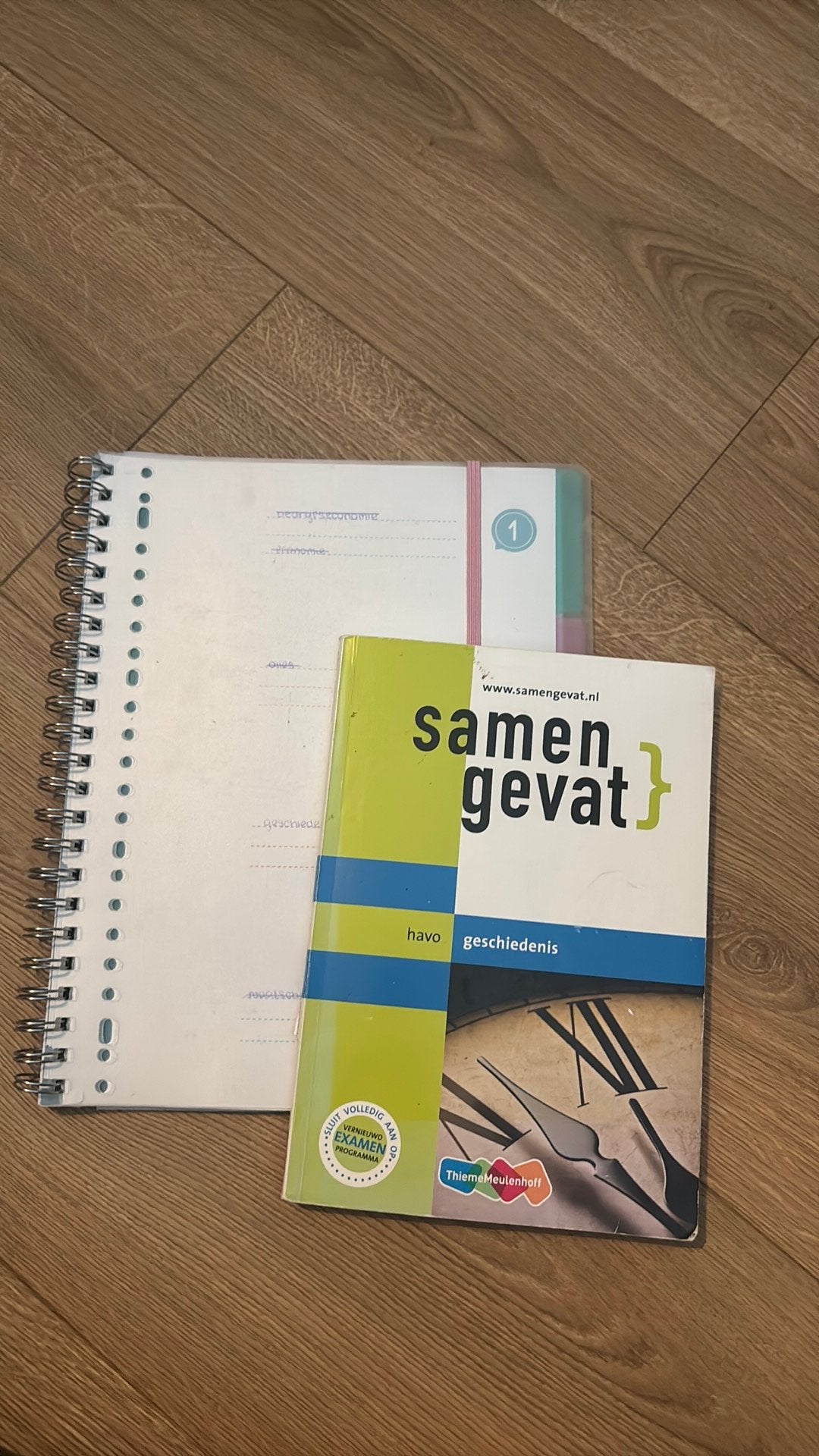 Geschiedenis havo samengevat examenbundel en samenvatting, Ophalen of Verzenden, Zo goed als nieuw