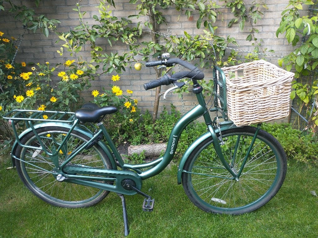 popal moederfiets met 3 versnellingen, Gebruikt, 47 tot 50 cm, Dubbele standaard, 0 zitjes