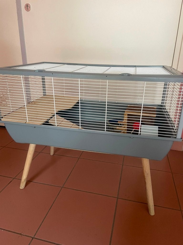 Hamster / Cavia Kooi, Dieren en Toebehoren, Knaagdieren en Konijnen | Hokken en Kooien, Kooi, Gebruikt, Minder dan 75 cm, Cavia