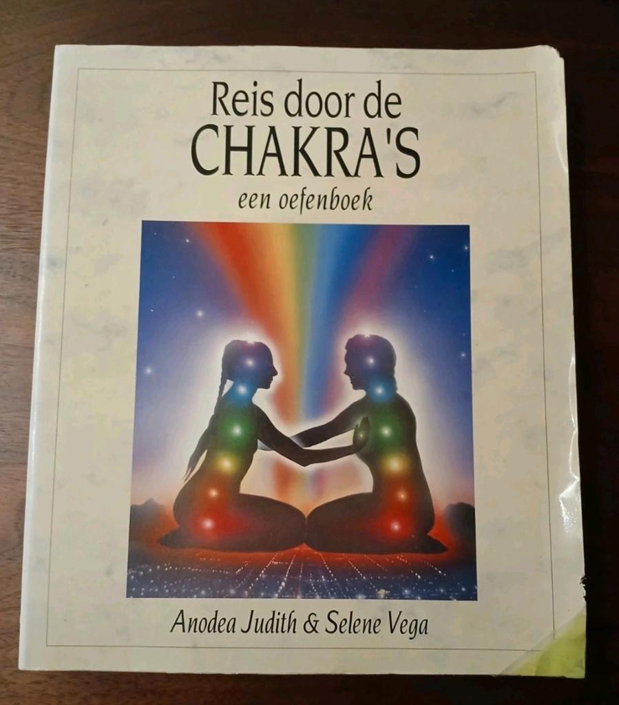 Reis door de Chakra's - Een Oefenboek zgan vaste prijs, Boeken, Ophalen of Verzenden, Zo goed als nieuw