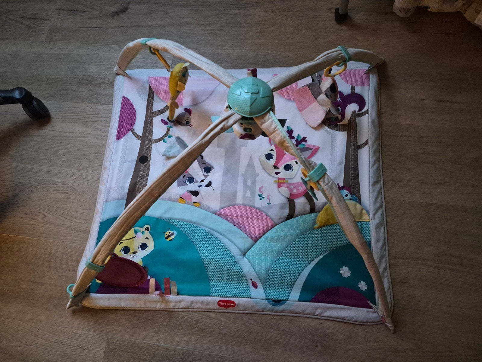 Tiny Love Gymini Deluxe Princess Tales babygym, Ophalen, Zo goed als nieuw, Babygym, Met licht