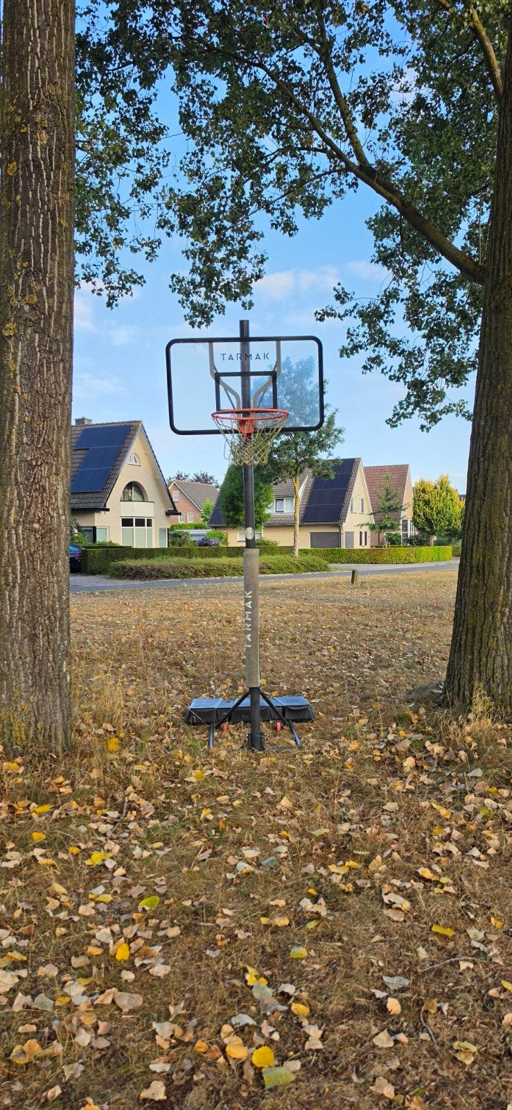 Basketbalpaal Tarmak met plexiglas backboard, Ophalen, Gebruikt, Ring, Bord of Paal