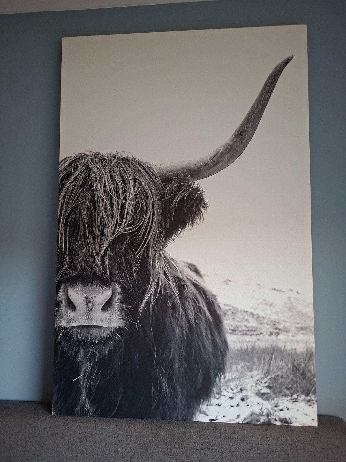 Canvas schotse hooglander, Huis en Inrichting, Ophalen, Schilderij
